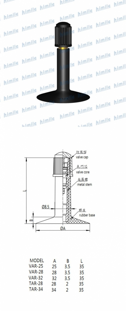 VAR-28.jpg