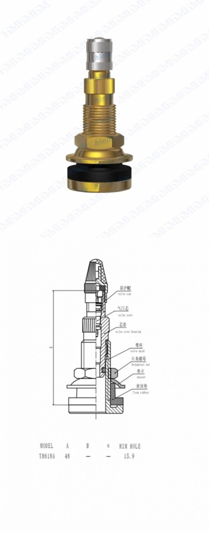 TR618A.jpg